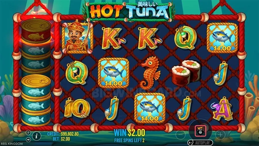 Benefits of Choosing 55bmw for Online Betting